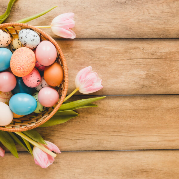 Frühlingserwachen und Ostergrüße aus der Amtsverwaltung Niemegk